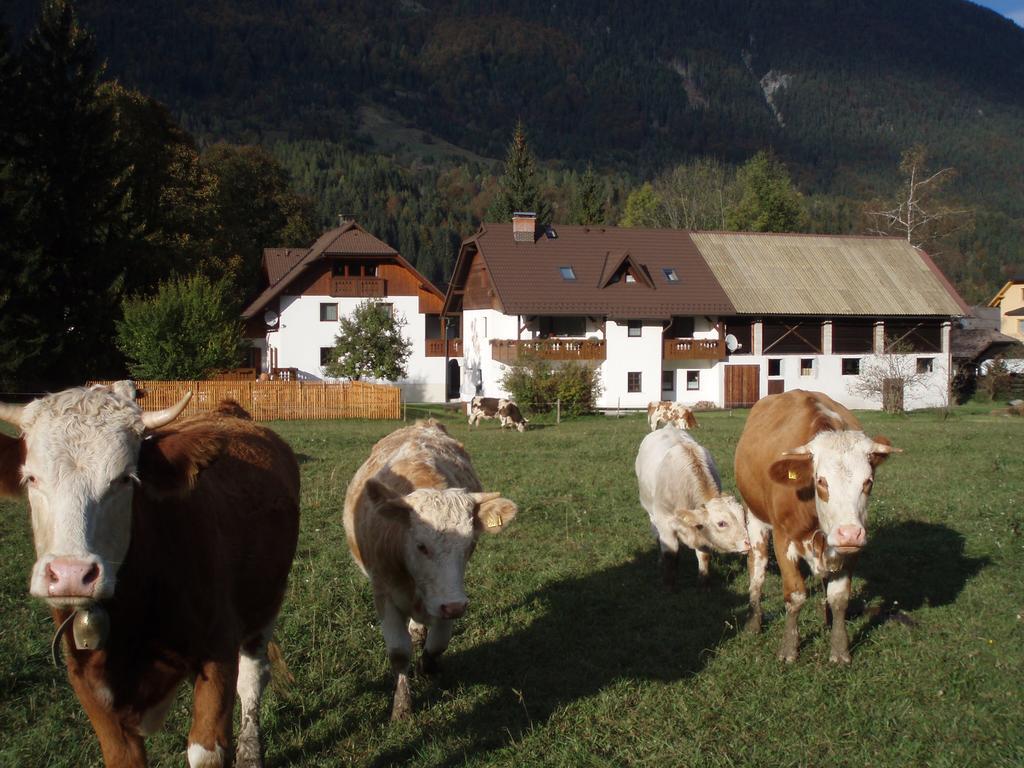 Farm Kosir Villa Kranjska Gora Exterior foto