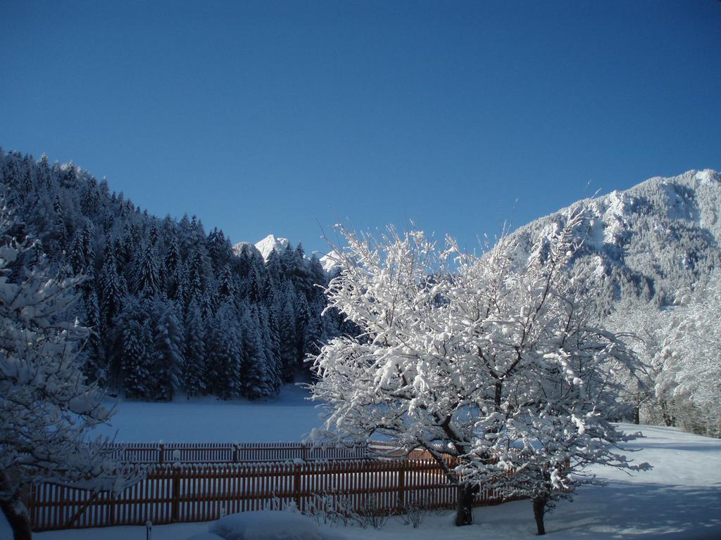 Farm Kosir Villa Kranjska Gora Exterior foto