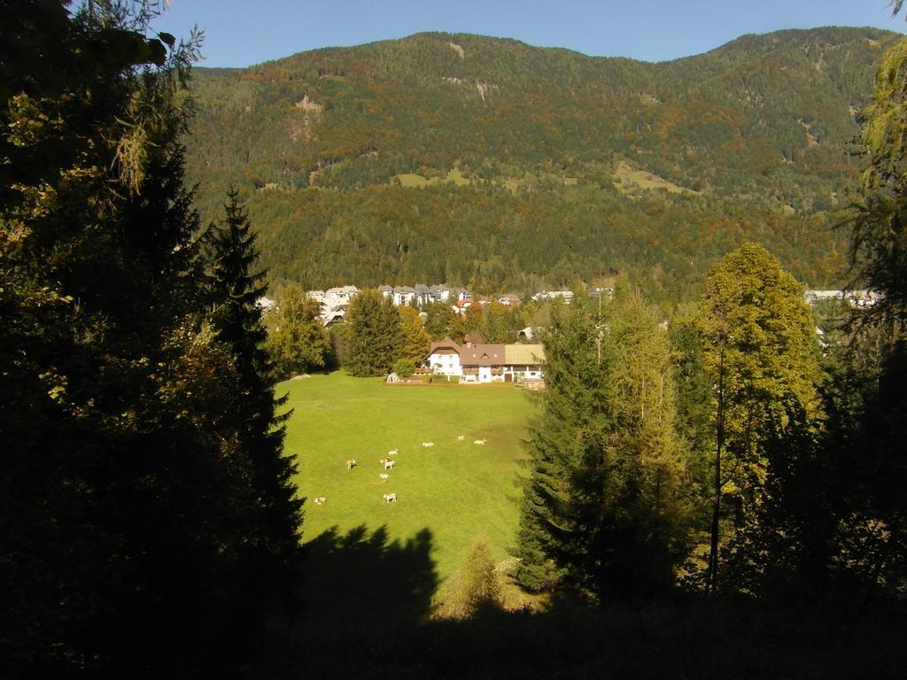 Farm Kosir Villa Kranjska Gora Exterior foto